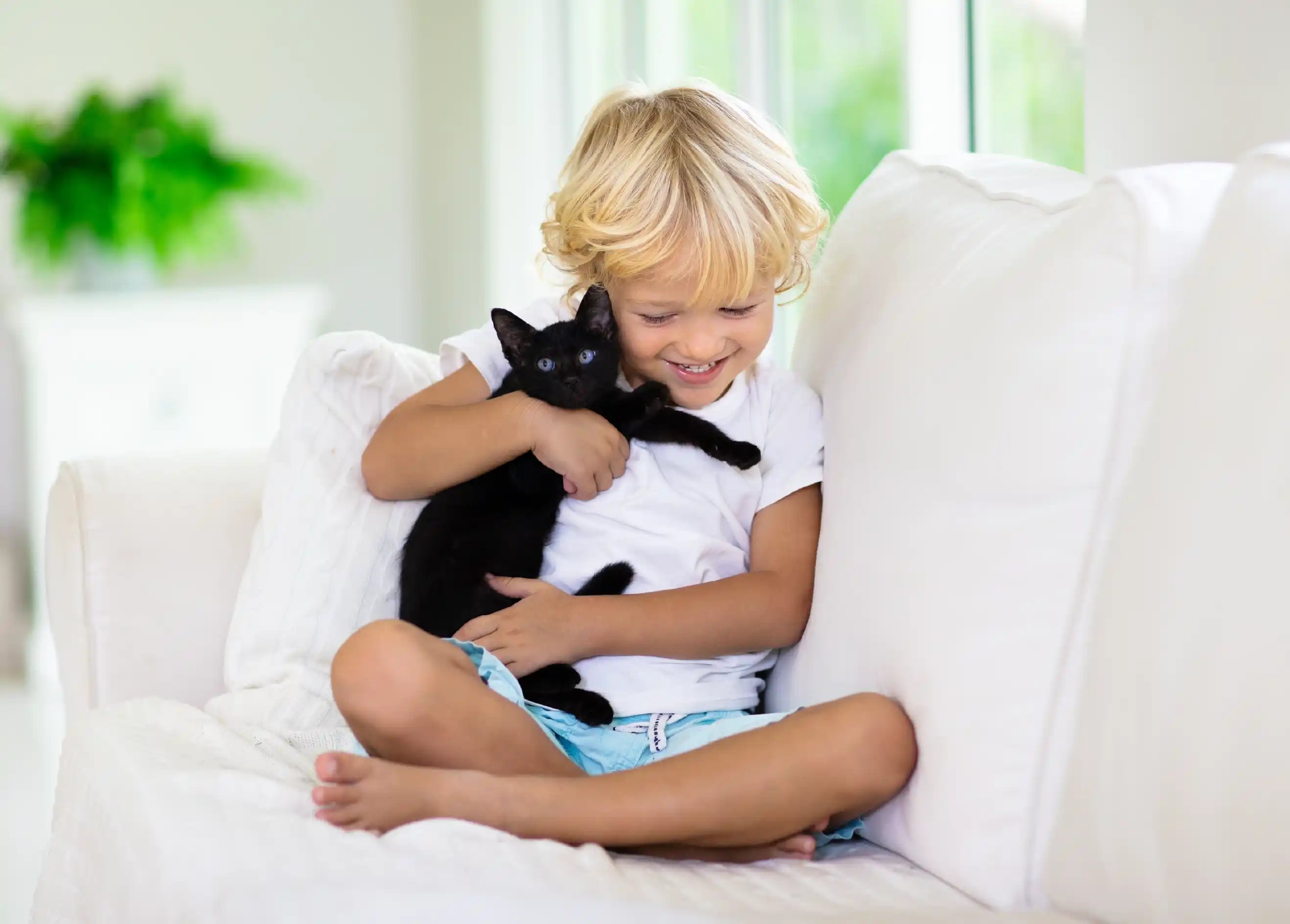 Configuración óptima alarma para hogares con mascotas