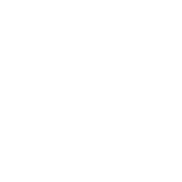 camera-1