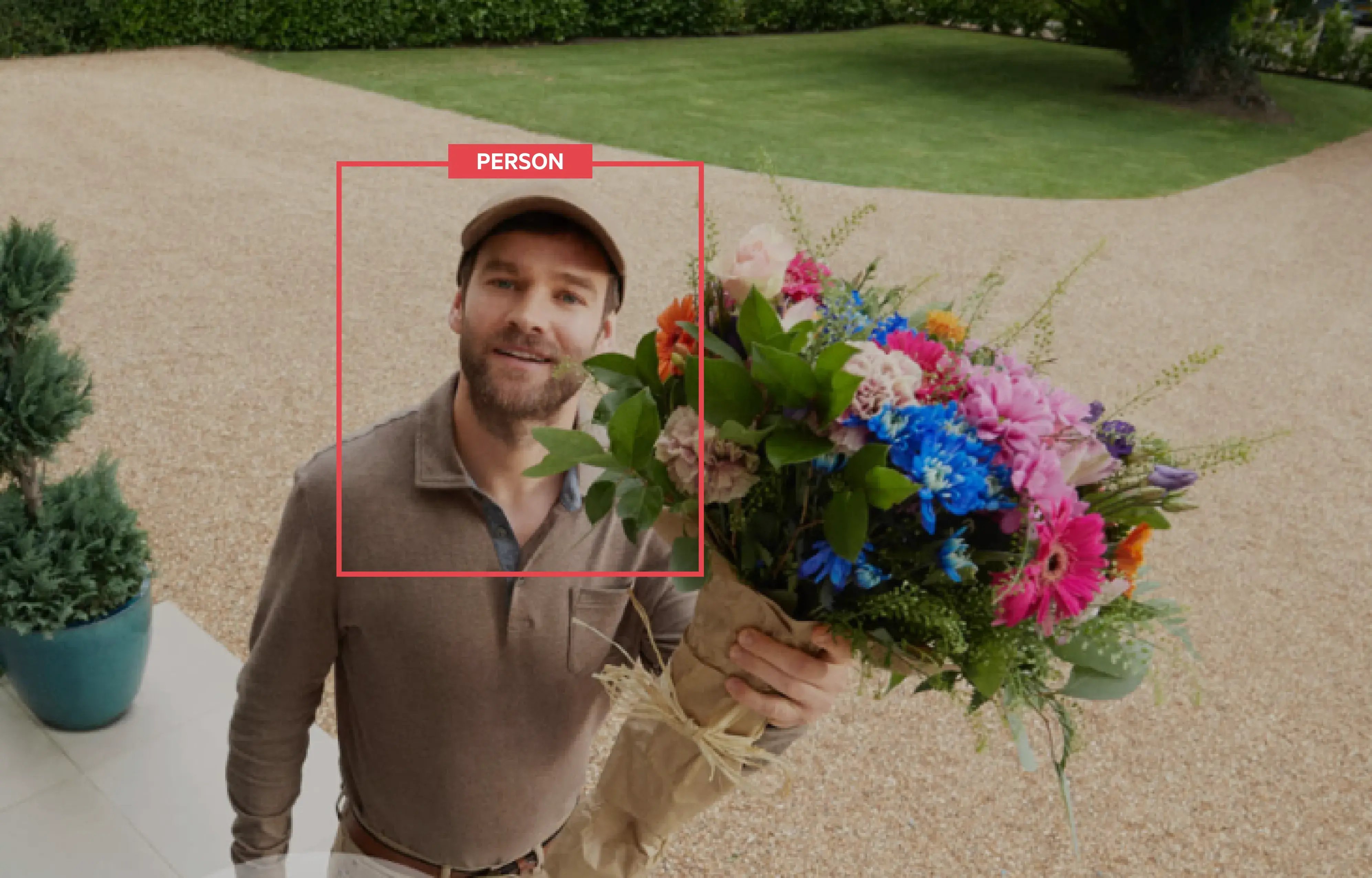 camera-web