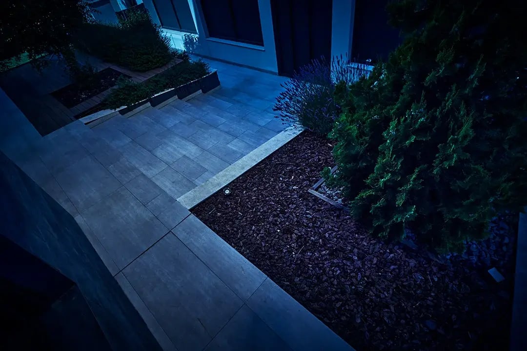 intruder_garden_alone_sequcence
