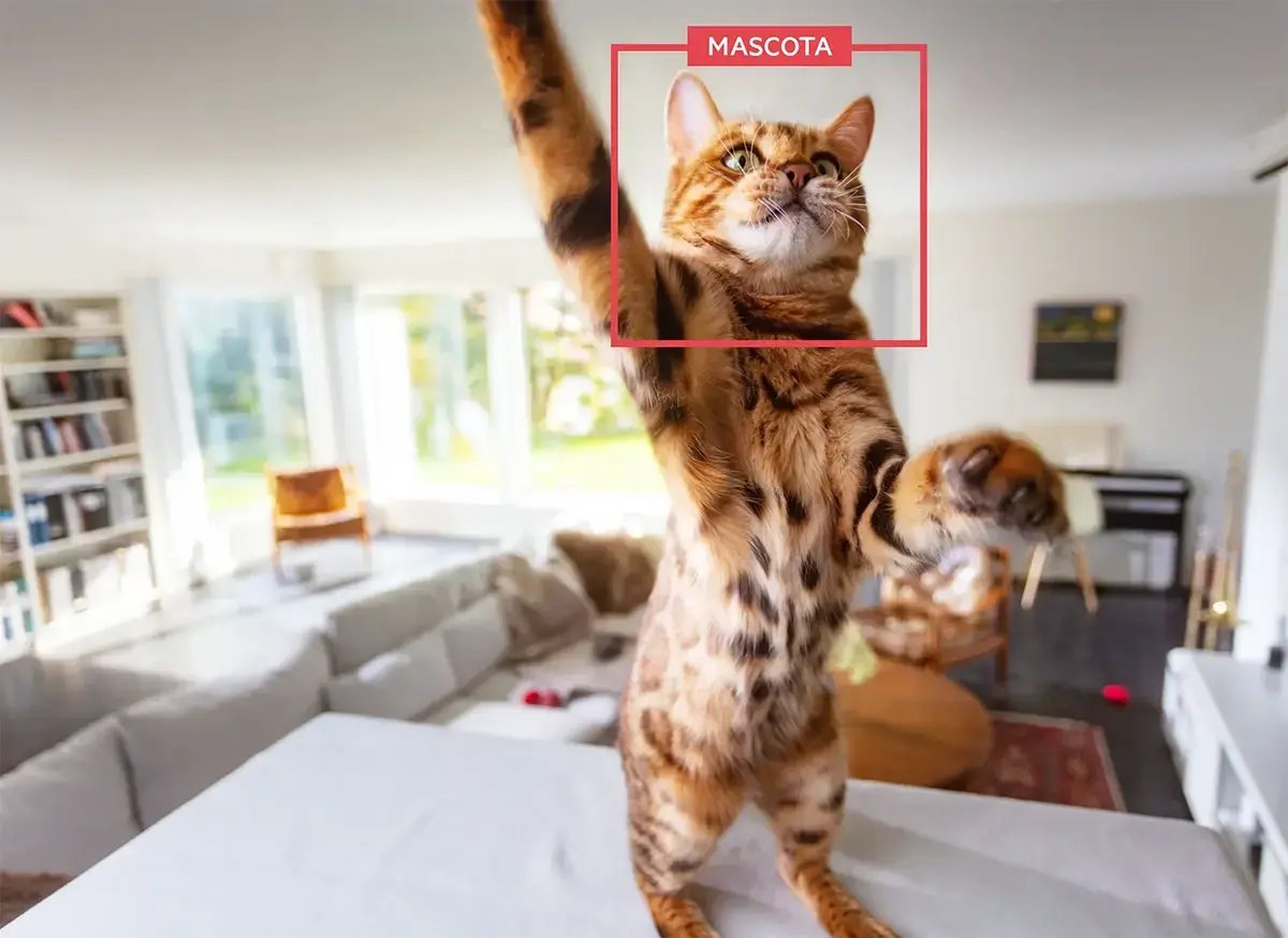 Detección inteligente capaz de diferenciar entre humanos y mascotas Detección inteligente capaz de diferenciar entre humanos y mascotas