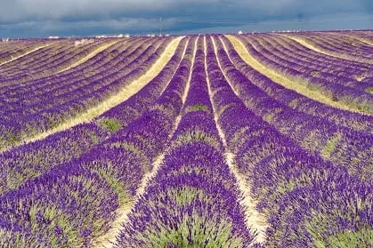Provence-Alpes-Côte d'Azur