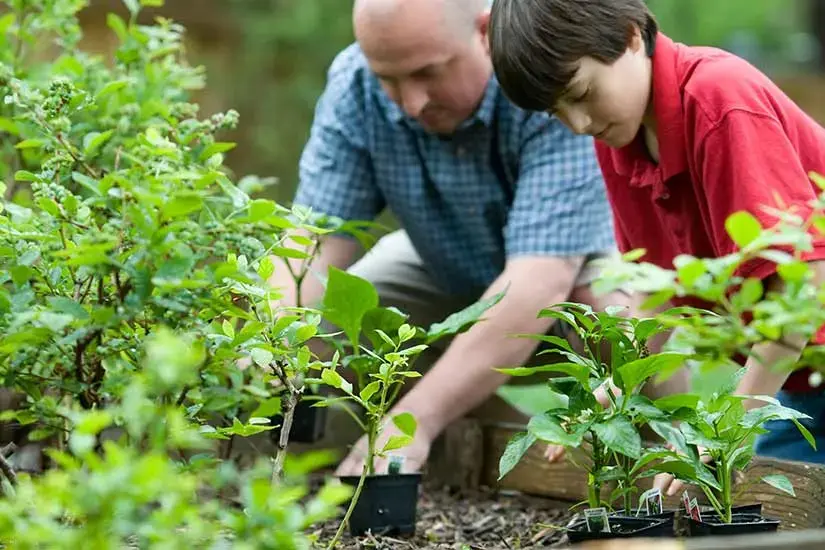 Tips to keep your home safe when gardening